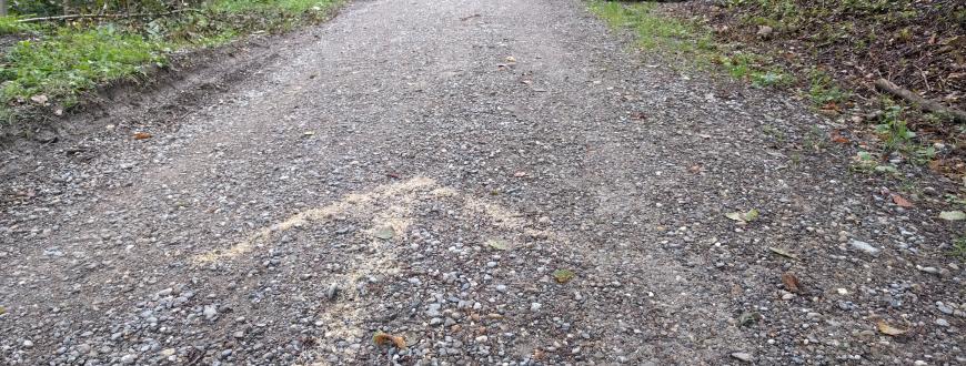 Schnitzeljagd-Spur mit Sägspähne auf einem Waldweg in der Form eines Pfeils