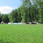Lagerplatz auf grüner Wiese mit Zelten